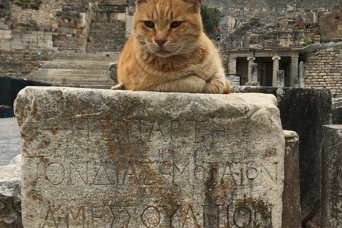 Ephesus Tour From Kusadasi With Lunch - Expert Guide Information