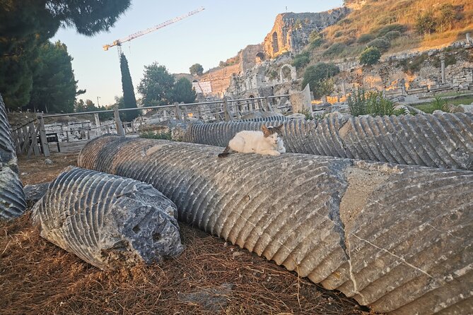 Ephesus Walking Tour - Traveler Reviews