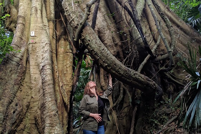 Erupting Blowholes and Ancient Rainforests SOUTH COAST OF SYDNEY PRIVATE TOUR - Personalized Private Tour Experience