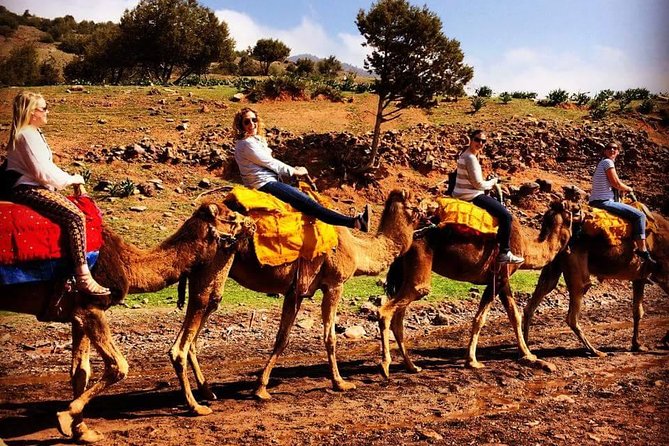 Escape to the Agafay Desert on a Day Trip From Marrakesh to Atlas - Itinerary and Activities Included