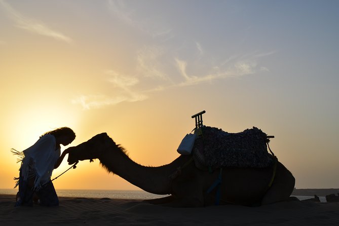 Essaouira: 1/2 Day Camel Ride With Meal. - Common questions