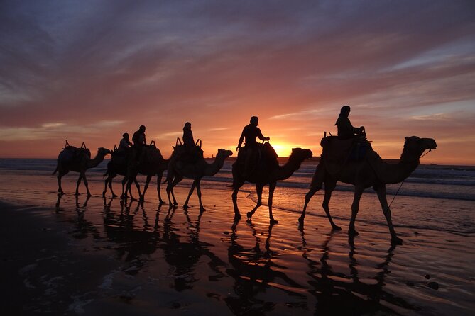 Essaouira 1 Hour Private Camel Ride - Additional Information and Assistance