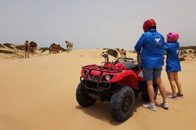 Essaouira: 2h/ Quad 2h/ Camel (Minimum 2 People) - Customer Reviews and Ratings