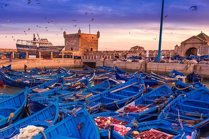 Essaouira - Every Surfer's Dream (private) - Surfing Lessons and Equipment Rental