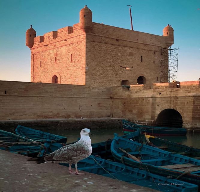 Essaouira Full Day Trip From Marrakech - Recommended Items and Information
