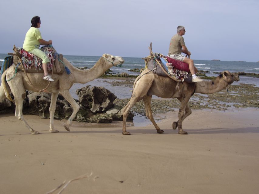 Essaouira: Guided Dromedary Riding Tour - Accessibility and Language