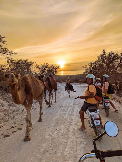 Essaouira : Half-Day E-Experience From Mountains to Sea - Tour Highlights