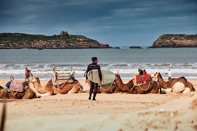 Essaouira Private Day Trip From Marrakech - Customer Support Details