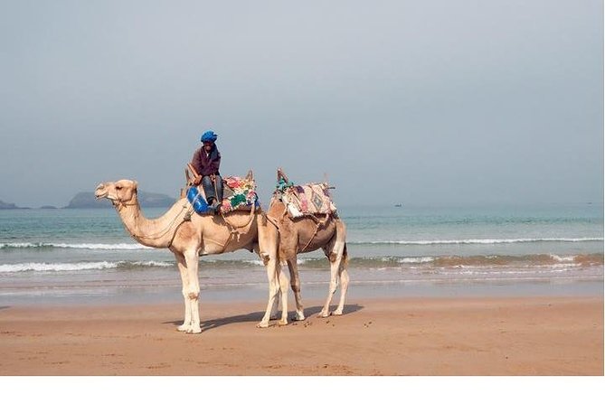 Essaouira: Private or Small-Group Day Trip From Marrakech - Reviews