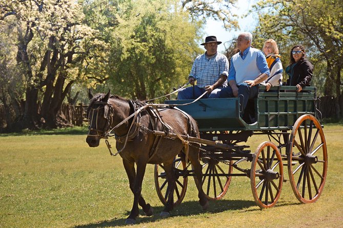 Estancia Gaucho Day at Buenos Aires - Reviews and Ratings