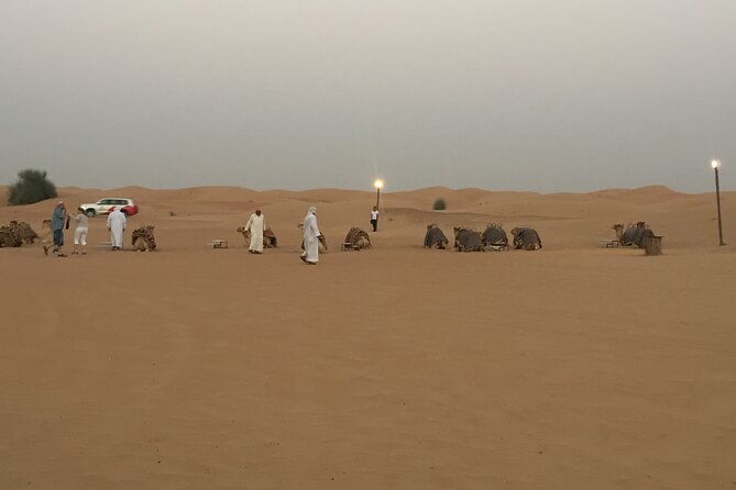 Evening Desert Safari Tour With Live Enterterment And BBQ Dinner - Booking Information