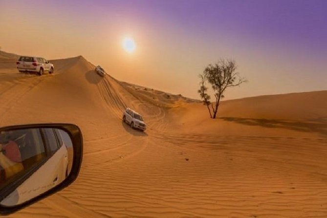 Evening Desert Safari With Dune Bashing, Camel Ride, Dinner  - Dubai - Customer Support Details