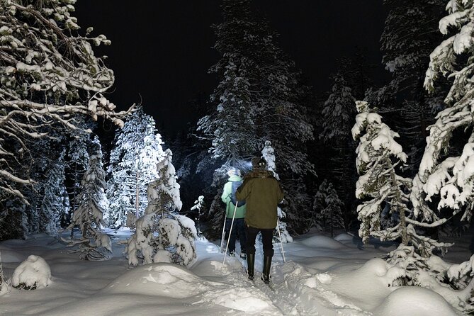 Evening Ski Trek to the Wilderness - Trail Highlights and Scenery
