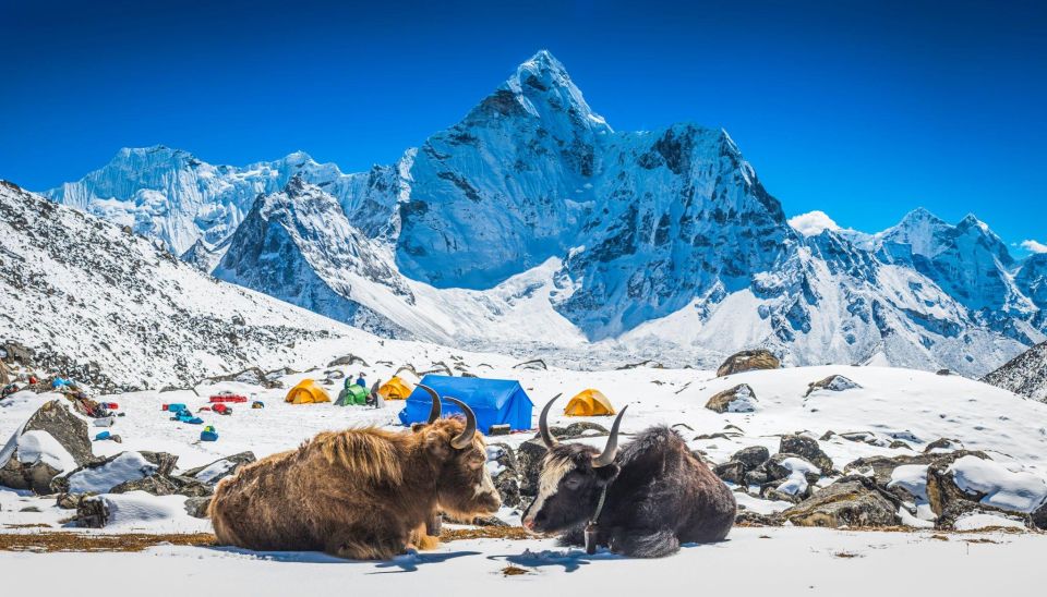 Everest Base Camp Trek: Majestic Himalayan Adventure Expert - Accommodation and Support Information