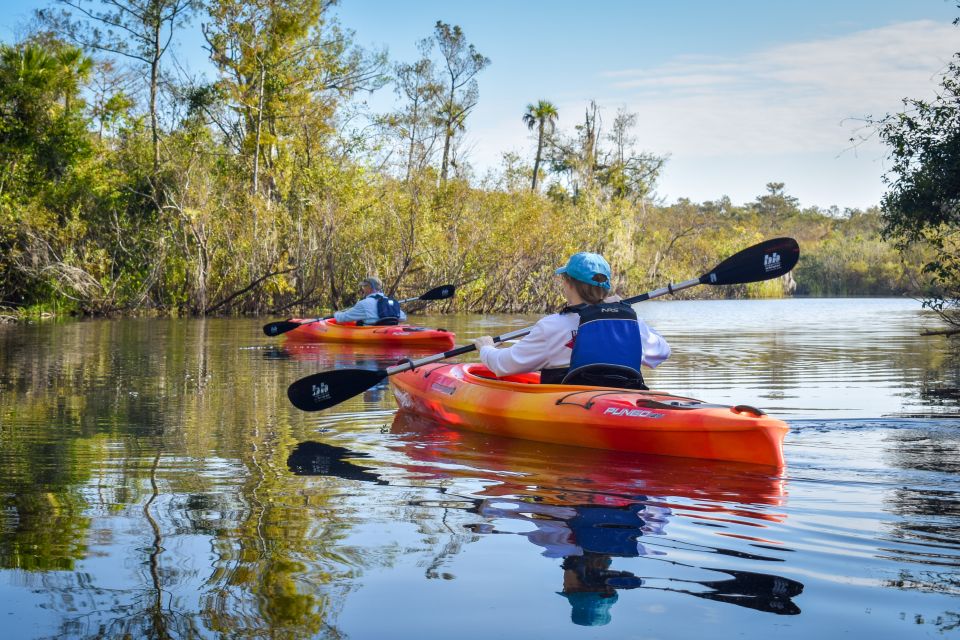 Everglades City: Guided Kayaking Tour of the Wetlands - Tour Description