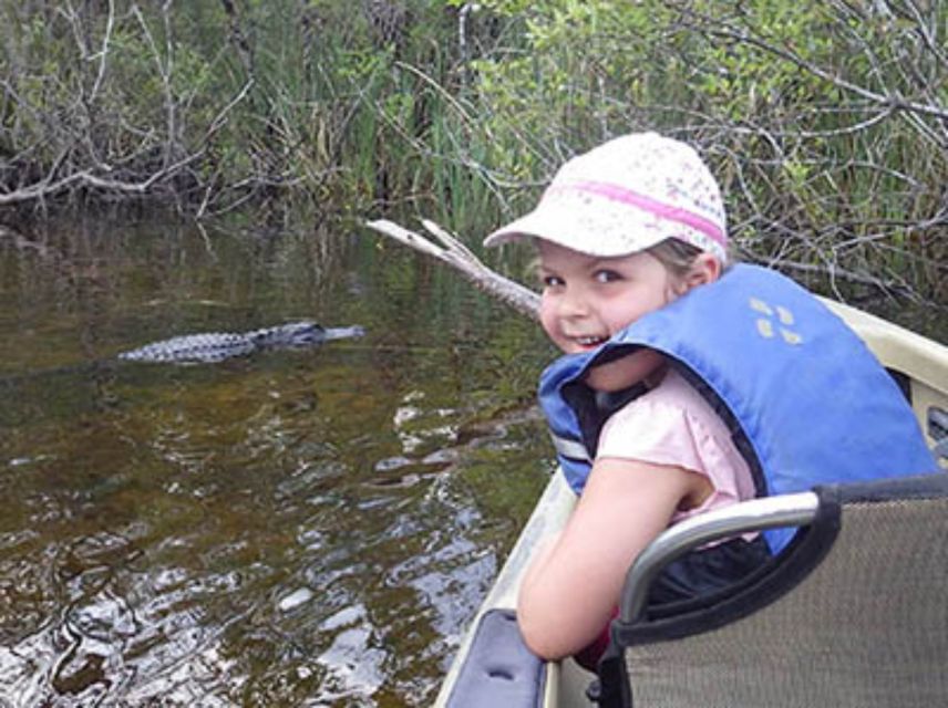 Everglades: Everglades Alligators and Orchids Kayak Eco Tour - Visitor Testimonials