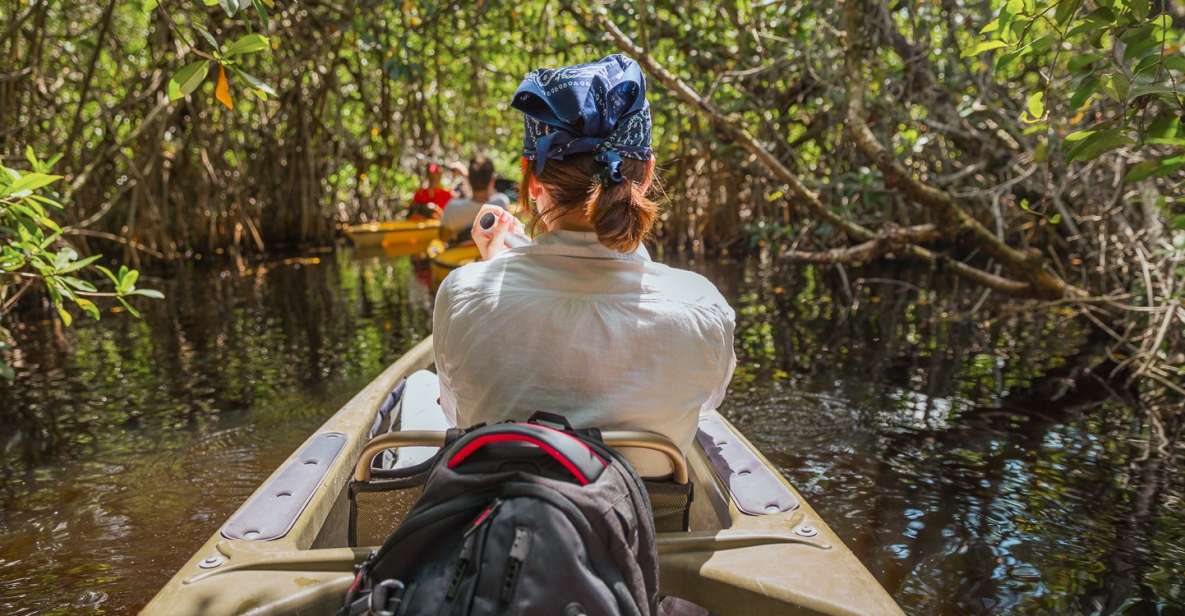 Everglades National Park: Mangrove Tunnel Kayak Eco-Tour - Inclusions