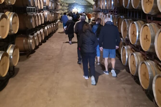 Évora Private Tour - Cork Factory and Wine Estate Included - Booking Details