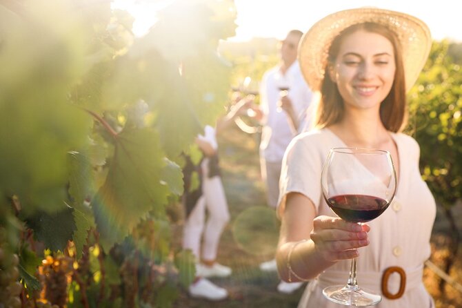 Exclusive Provence Wine Tour-Private Day for 2-3 People From Nice - Wine Tasting Experience