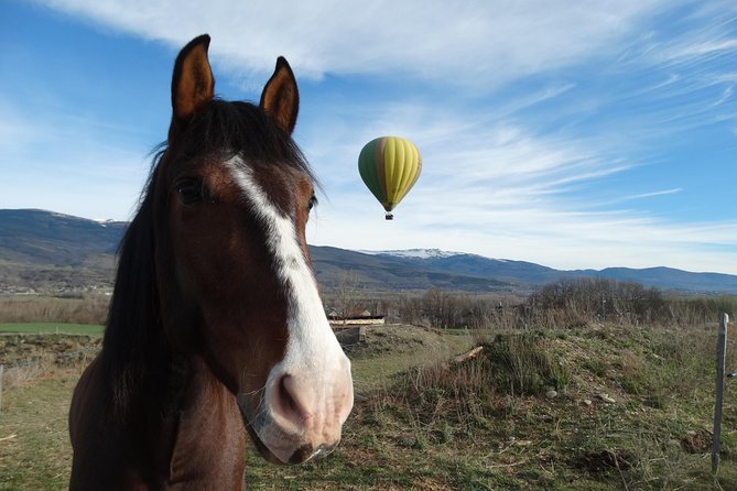 Exclusive Pyrenees Hot Air Balloon Barcelona - Customer Reviews and Ratings