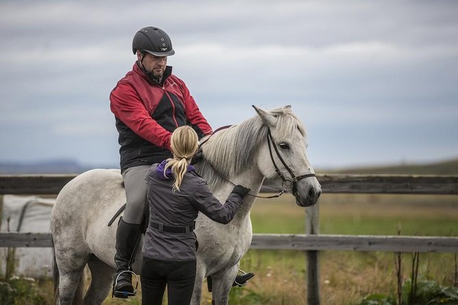 Exclusive Riding Program for Advanced Horse Riders - Give Me 5! - 2 to 3 Hours - Booking Confirmation and Accessibility