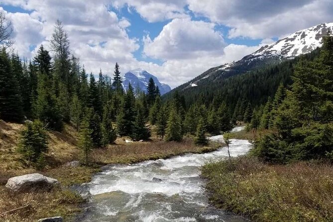 Exclusive Skoki Backcountry Guided Hiking in Lake Louise With Van Shuttle - Cancellation Policy