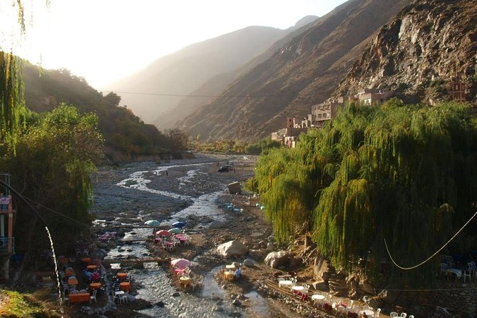 Excursion: Full Day Trip To Ourika Valley From Marrakech - Highlights of Ourika Valley Tour