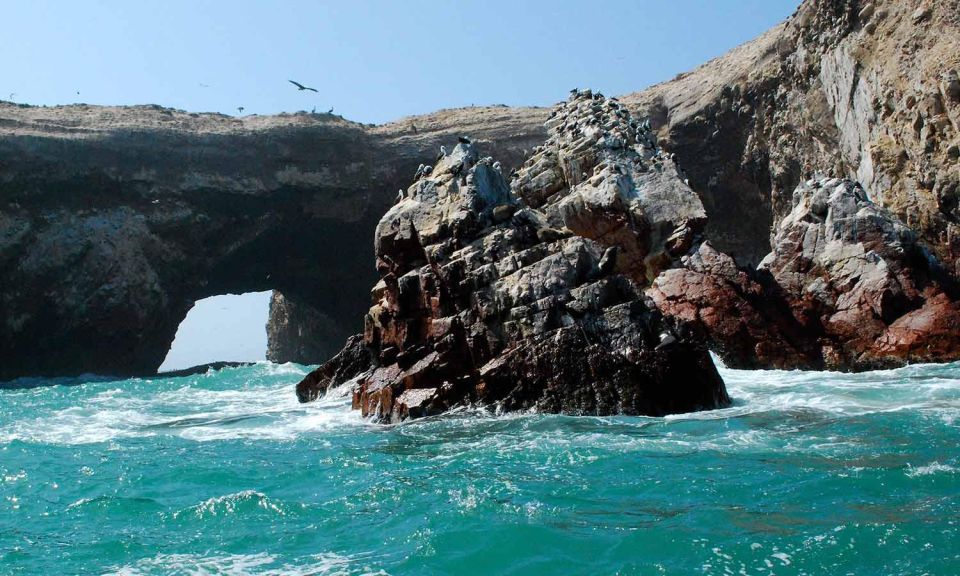Excursion the Ballestas Islands - Location Highlights