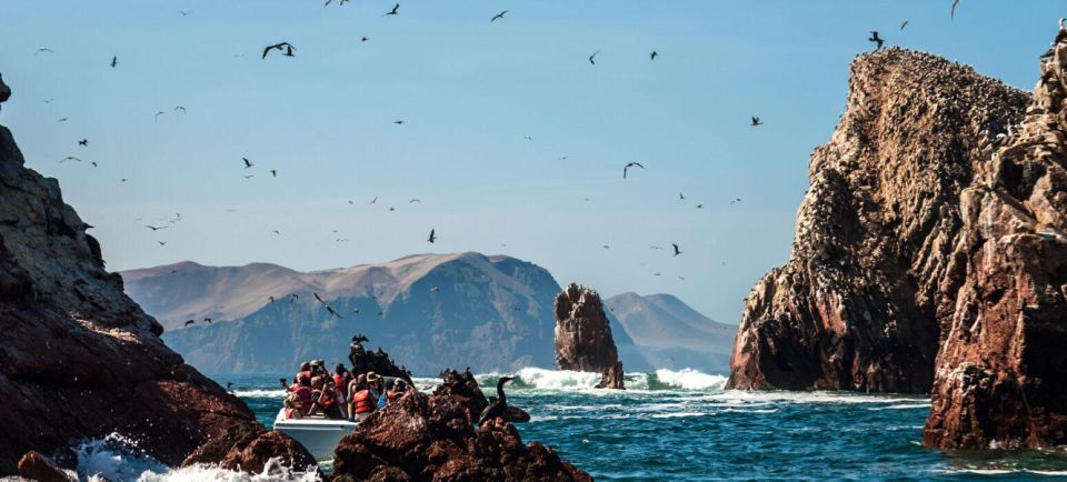 Excursion to Ballestas Islands and Paracas National Reserve - Additional Information