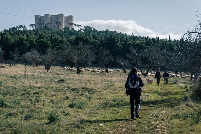 Excursion to Castel Del Monte in the Alta Murgia National Park - Logistics Included