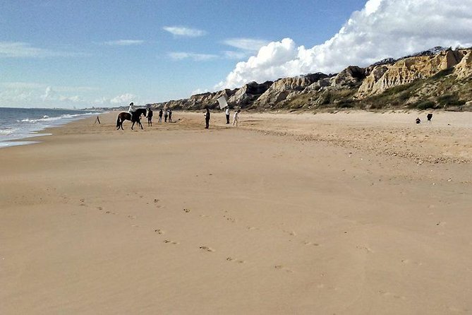 Excursion to the Beaches of Huelva From Seville - Private Tour - Booking Information