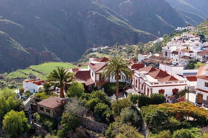 Excursion to the Center of the Island Gran Canaria - Excursion Highlights
