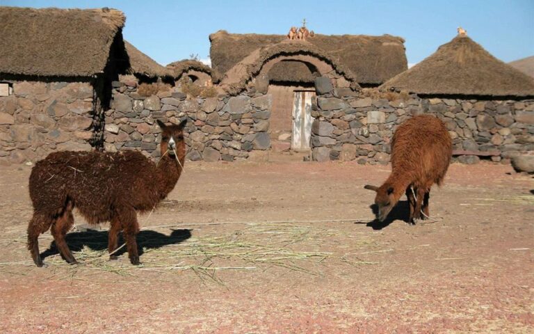 Excursion to the Chullpas of Sillustani: Mysterious Cemetery