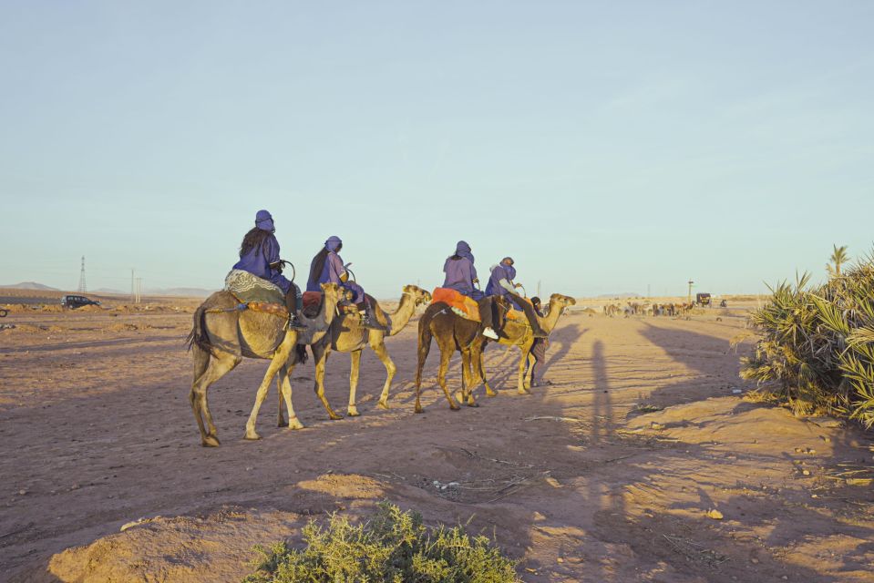 Experience a Camel Tour Through Palm Oasis and Jbilat Desert - Cultural Immersion With Berber Communities