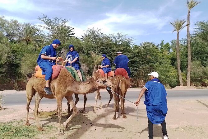 Experience Camel Ride Sunset or Anytime - Traveler Feedback