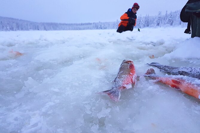 Experience Ice Fishing and Hunt for Arctic Char - Expert Guide Assistance Available
