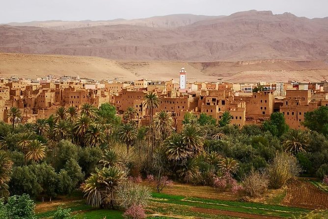 Experience of the Desert of Zagora in 2 Days - Cultural Immersion