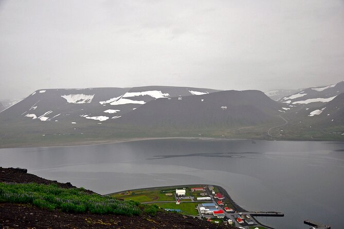 Experience Westfjords and Dynjandi Waterfall From Isafjordur Small Group Tour - What to Expect During the Tour