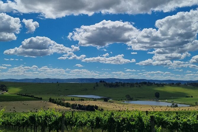 Experience Yarra Valley: a Tailored Private Wine Journey - Group Pricing Breakdown