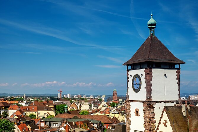 Explore Freiburg'S Art and Culture With a Local - Art and Culture Tour With a Local