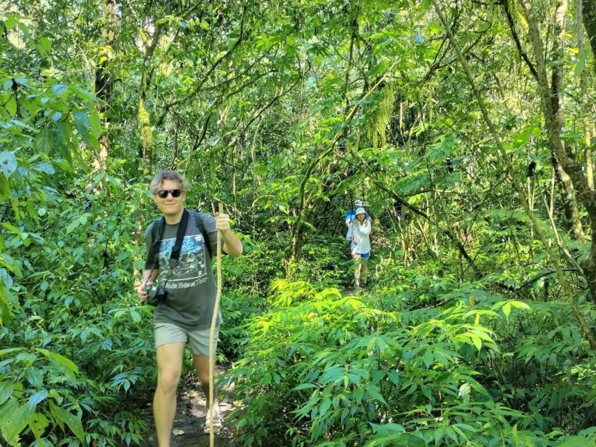 Explore Rice Terraces Munduk & Waterfall Trekking Experience - Waterfall Encounter
