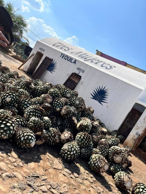 Explore Tequila: Private Trip From Guadalajara - Destinations and Experiences