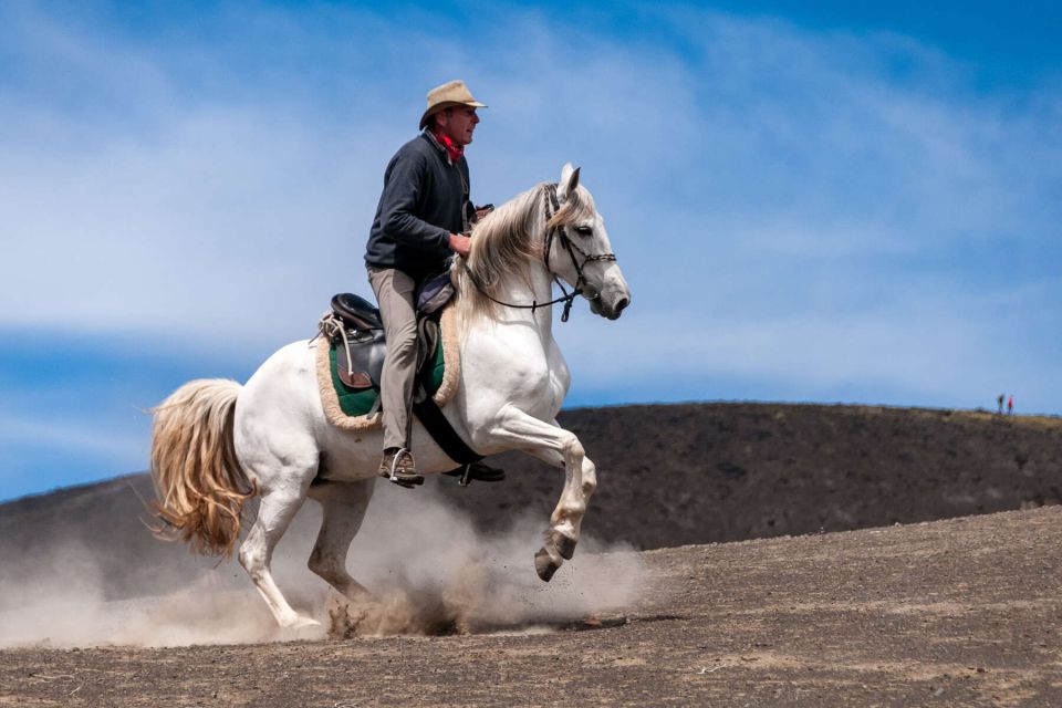 Faial Island: Horseback Riding (3 Hrs - Experienced Riders) - Additional Information