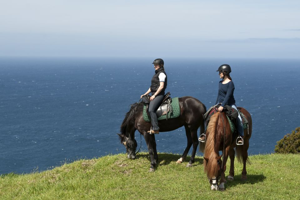 Faial Island: Horseback Riding on Lusitano Trail (1,5 Hr) - Participant Selection and Scheduling