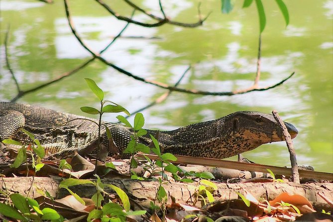 Family Bicycle Tour in the Green Oasis of Bangkok on Bamboo Bikes - Insider Tips for an Enjoyable Experience