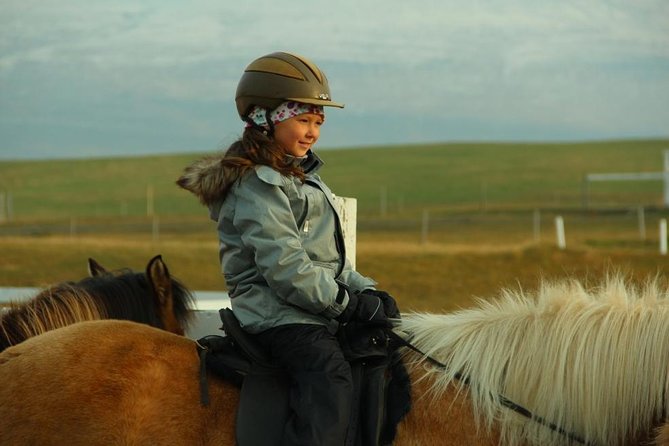 Family Friendly Horse Riding Tour in Skagafjörður - Important Information for Participants