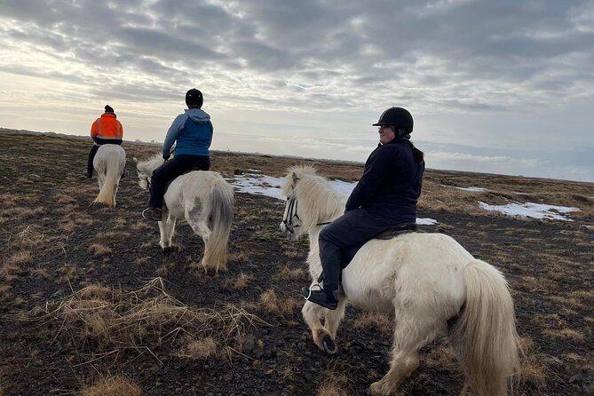 Family Horse Riding Tour in Thorlakshofn - Common questions