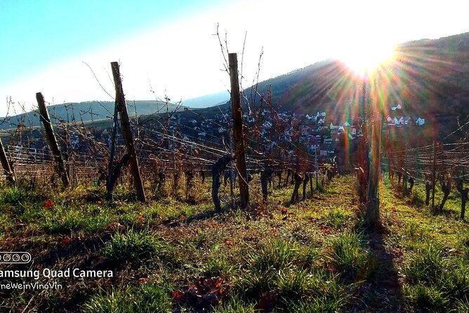 Fantastic, Full Day, Private Wine Tour to Alsace! - Understanding the Cancellation Policy