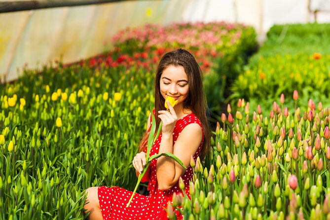 Fast Track Keukenhof Gardens From Amsterdam by Private Car - Cancellation Policy Guidelines