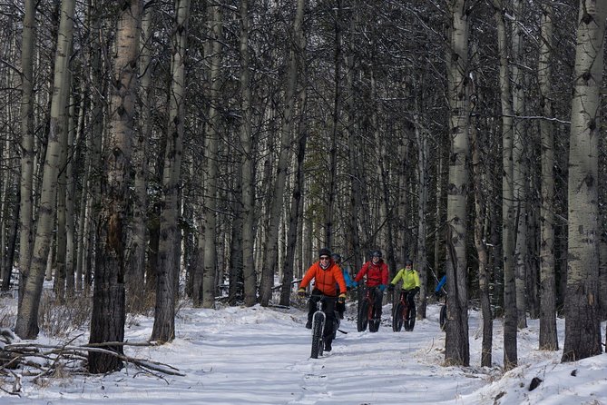 Fatbike Frozen Waterfall Tour - Safety and Accessibility